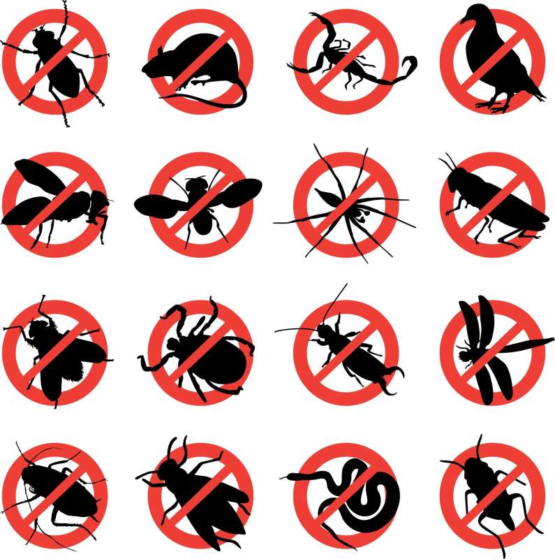 Ant Control Ant Control